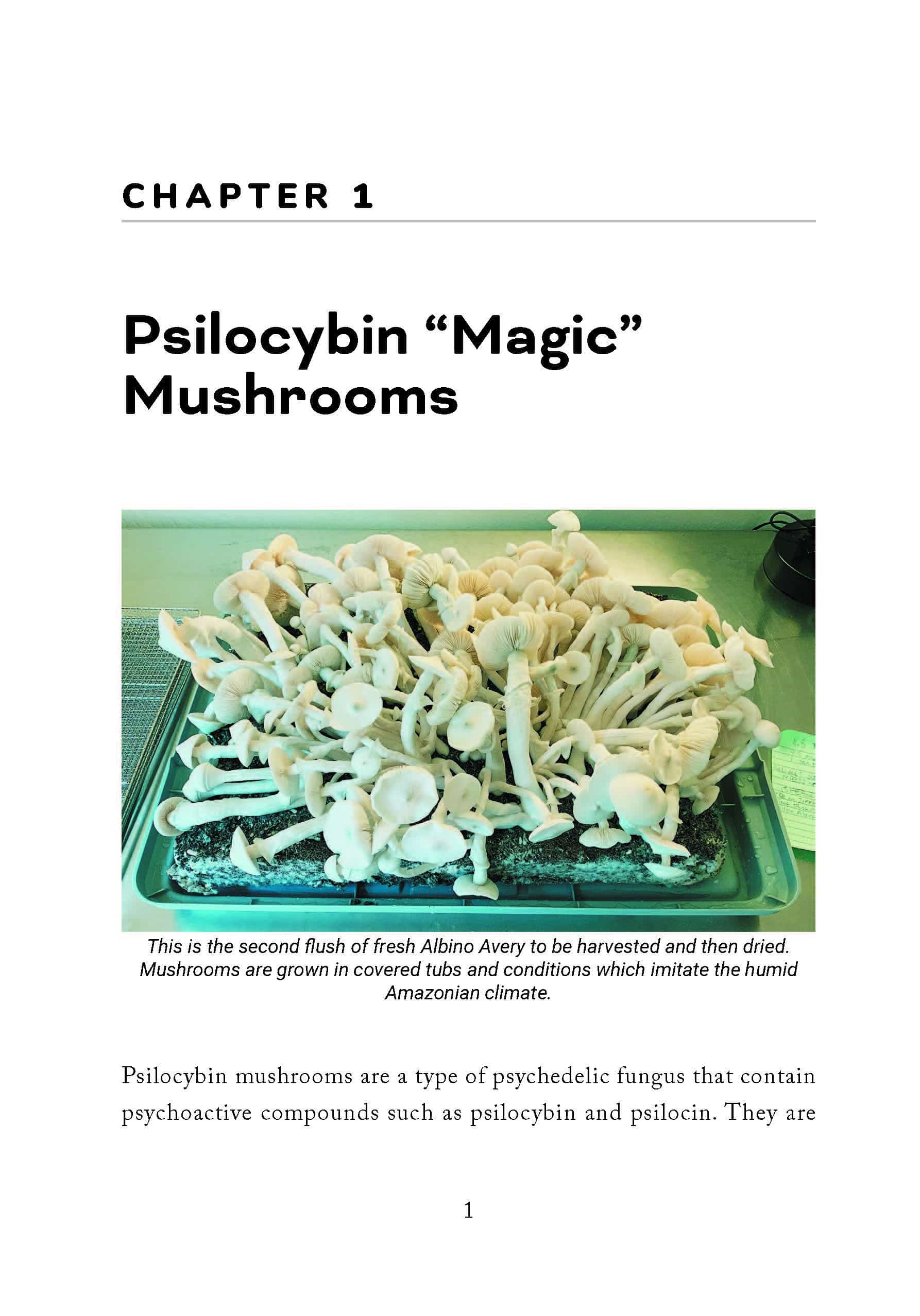 Magic Mushroom Seekers’ Guide to the Galaxy: A Journey of Self-Discovery with Psilocybin Mushrooms - Image 4
