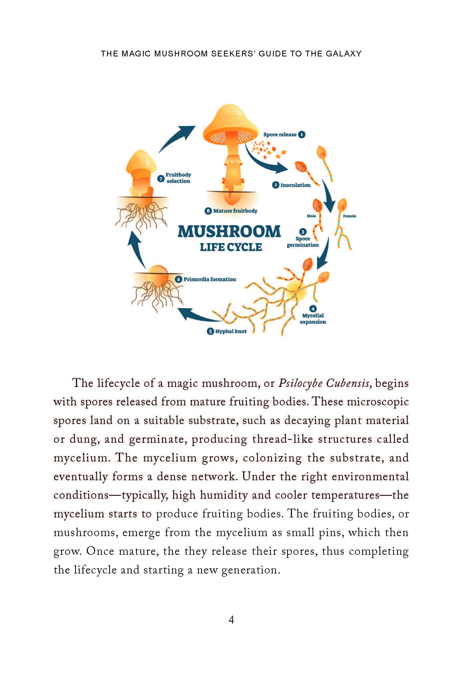 Magic Mushroom Seekers’ Guide to the Galaxy: A Journey of Self-Discovery with Psilocybin Mushrooms - Image 7