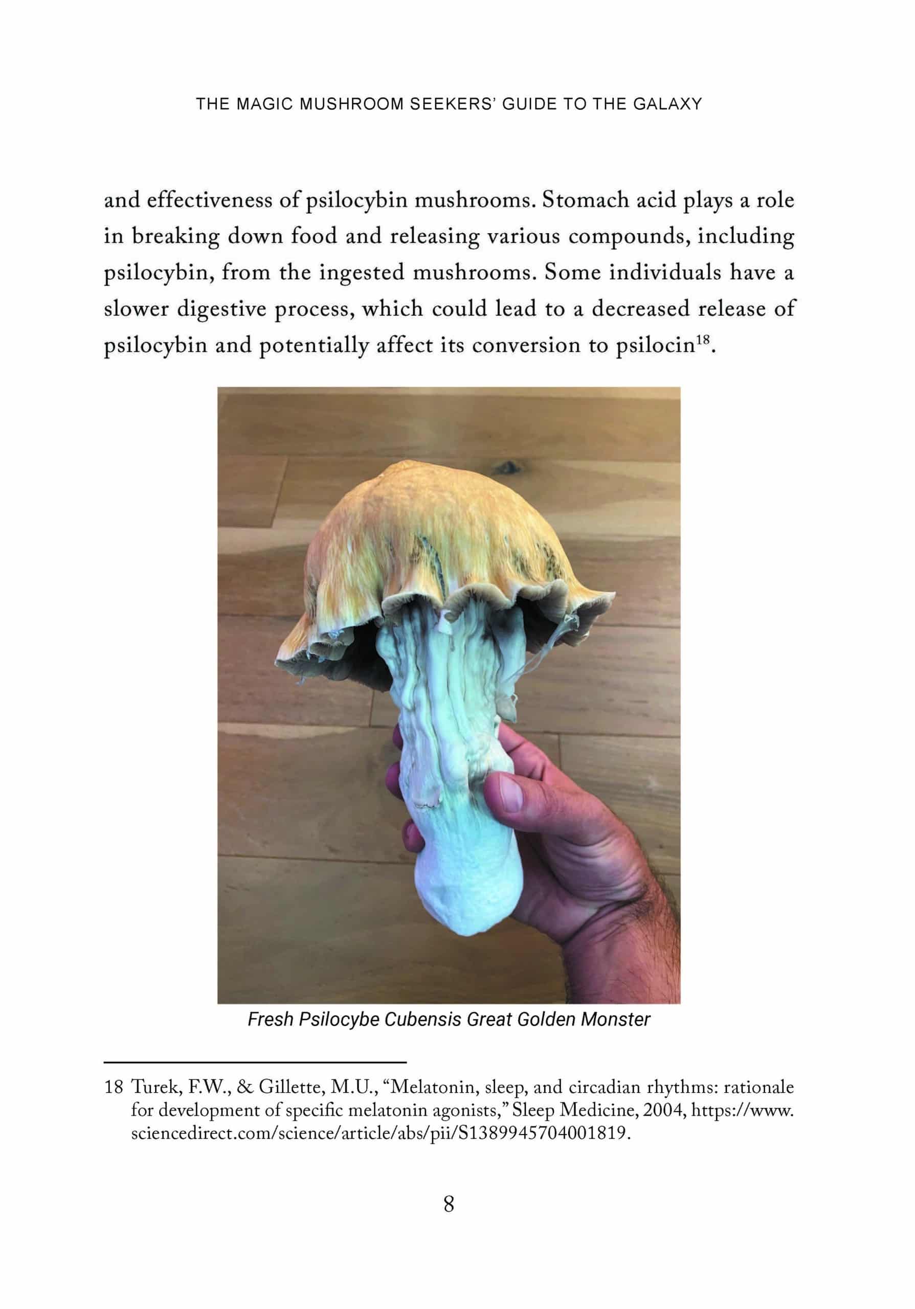 Magic Mushroom Seekers’ Guide to the Galaxy: A Journey of Self-Discovery with Psilocybin Mushrooms - Image 11