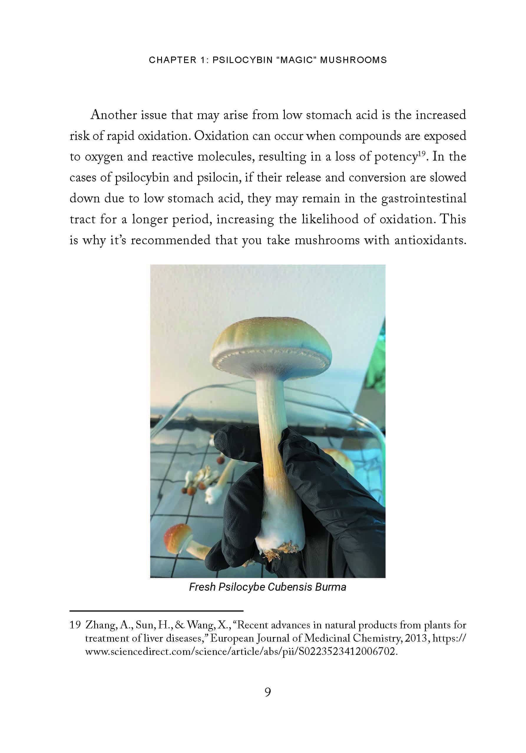 Magic Mushroom Seekers’ Guide to the Galaxy: A Journey of Self-Discovery with Psilocybin Mushrooms - Image 12