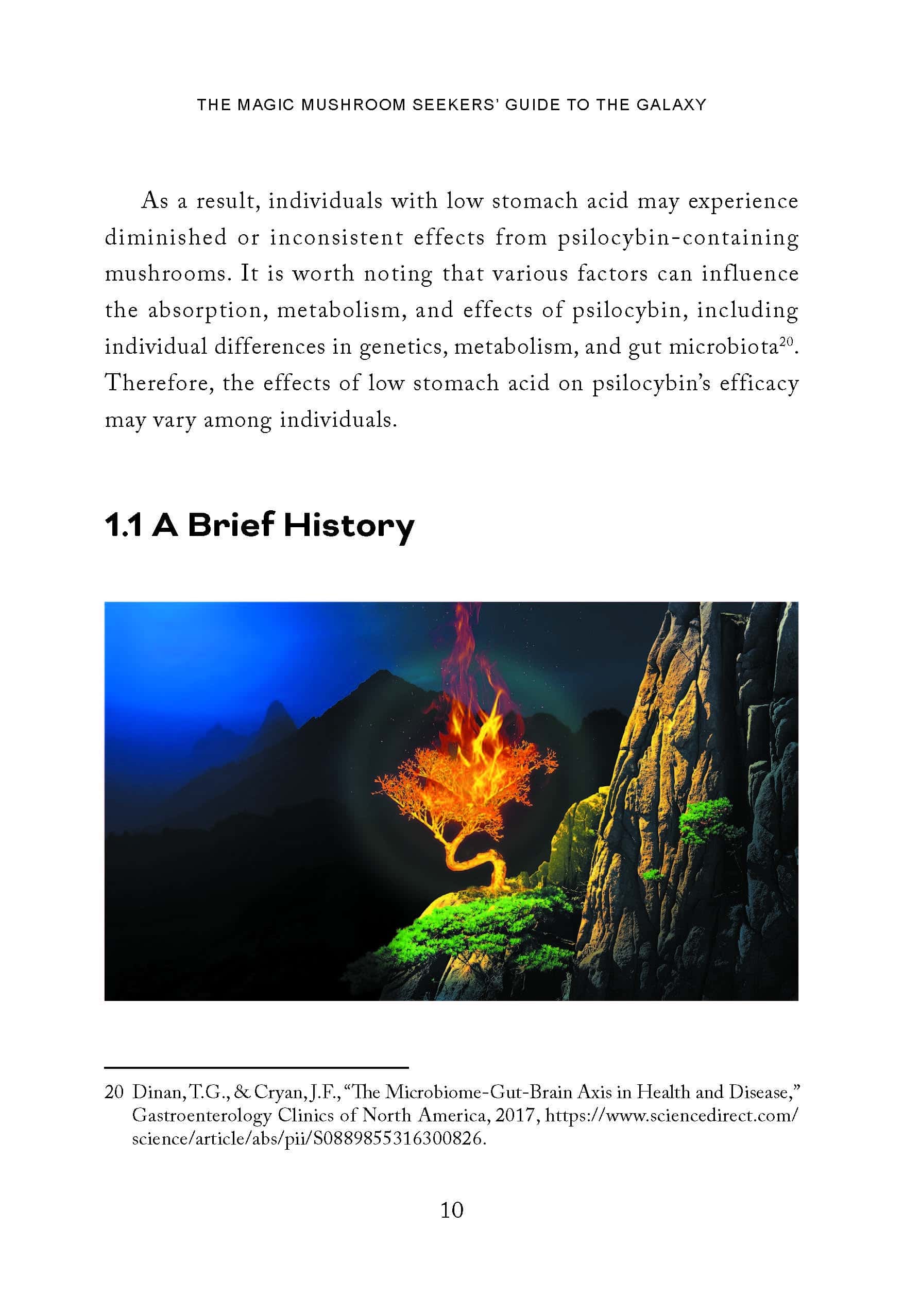 Magic Mushroom Seekers’ Guide to the Galaxy: A Journey of Self-Discovery with Psilocybin Mushrooms - Image 13